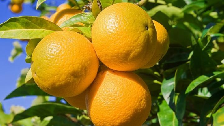 女性游泳減肥要注意什么？盤點游泳減肥的注意事項