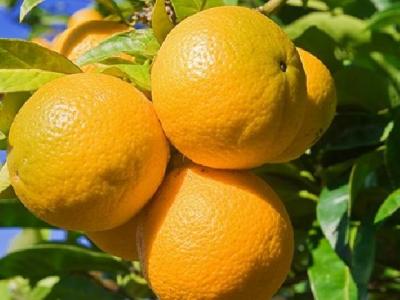 女性游泳減肥要注意什么？盤點游泳減肥的注意事項