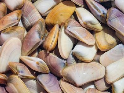 什么運動減肥簡單有效呢？適合減肥的運動方法推薦