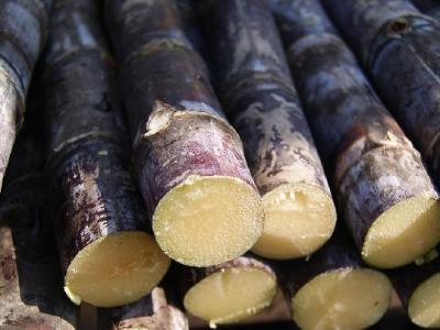 呼啦圈減肥多重合適？呼啦圈減肥需要注意什么？