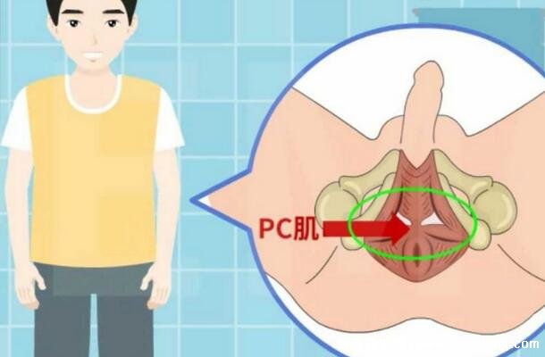 pc肌鍛煉害死我了,越鍛煉越弱(真的可以提高性功能)-易網健康<a href=http://www.jsjjzhkt.cn/jkys/ target=_blank class=infotextkey>養生</a>網 pc肌鍛煉害死我了,越鍛煉越弱(真的可以提高性功能)