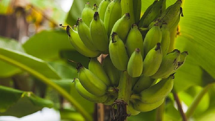 健康減肥養(yǎng)生食譜推薦 肉食品變盟友