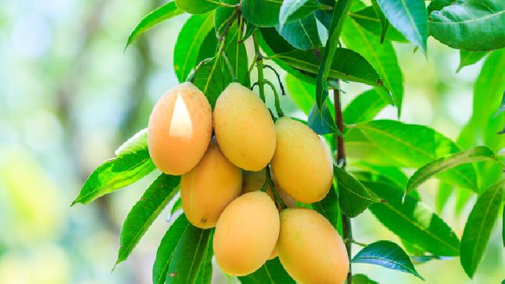 黃豆豆?jié){能不能減肥？如何喝豆?jié){能減肥？