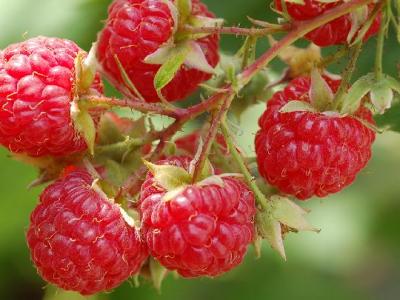 徒步可以減肥嗎？每天徒步多長(zhǎng)時(shí)間能減肥？