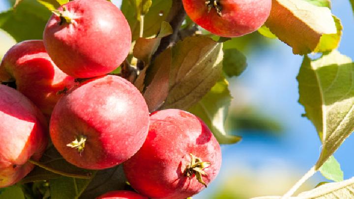 冬季<a href=http://www.jsjjzhkt.cn/tags-減肥瘦身.html target=_blank class=infotextkey>健康減肥</a>方法有哪些?分享這些方法值得收藏!-易網健康<a href=http://www.jsjjzhkt.cn/jkys/ target=_blank class=infotextkey>養生</a>網 冬季健康減肥方法有哪些?分享這些方法值得收藏!