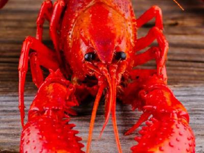 減肥什么水果不能吃?山楂茶減肥嗎?