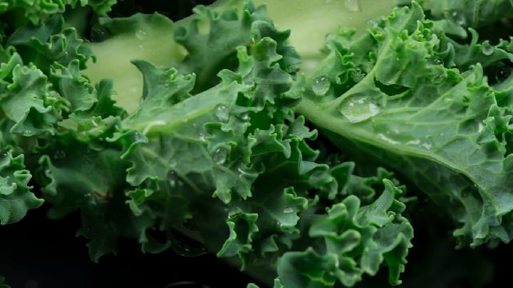 減肥菜譜家常菜做法 減肥菜譜家常菜步驟-易網健康<a href=http://www.jsjjzhkt.cn/jkys/ target=_blank class=infotextkey>養生</a>網 減肥菜譜家常菜做法 減肥菜譜家常菜步驟