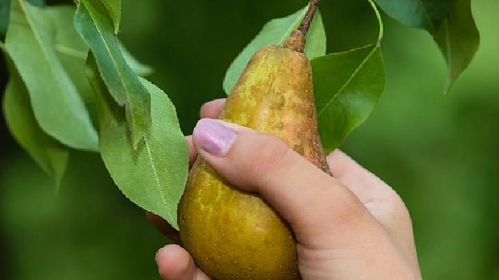 土豆沙拉減肥嗎？盤點土豆沙拉的減肥效果及注意事項