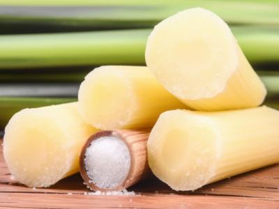 減肥能吃甘蔗嗎