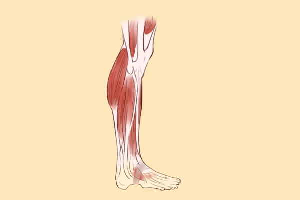 怎樣瘦小腿最快最有效的方法-易網<a href=http://www.jsjjzhkt.cn/ target=_blank class=infotextkey>健康養生</a>網 怎樣瘦小腿最快最有效的方法