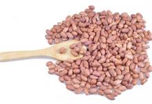 秋季胃不好怎么辦?多吃這些食物能養(yǎng)胃