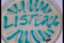 謹防冰箱里的“殺手”:李斯特菌