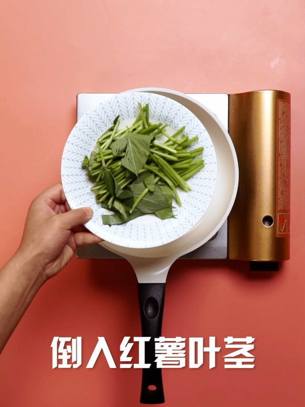 清炒紅薯葉的做法-家常味炒菜譜-易網健康養生網 清炒紅薯葉的做法-家常味炒菜譜