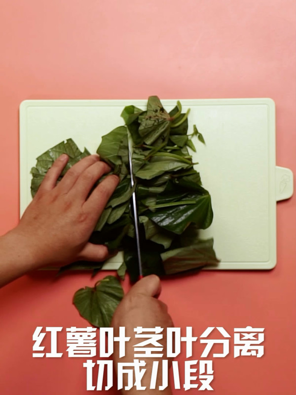 清炒紅薯葉的做法-家常味炒菜譜-易網<a href=http://www.jsjjzhkt.cn/ target=_blank class=infotextkey>健康養生</a>網 清炒紅薯葉的做法-家常味炒菜譜