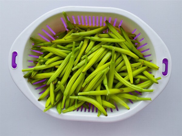 自制金針干菜的做法-其它口味其它工藝菜譜-易網<a href=http://www.jsjjzhkt.cn/ target=_blank class=infotextkey>健康養生</a>網 自制金針干菜的做法-其它口味其它工藝菜譜