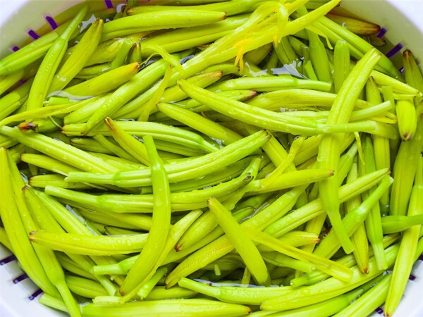 自制金針干菜的做法-其它口味其它工藝菜譜-易網健康養生網 自制金針干菜的做法-其它口味其它工藝菜譜