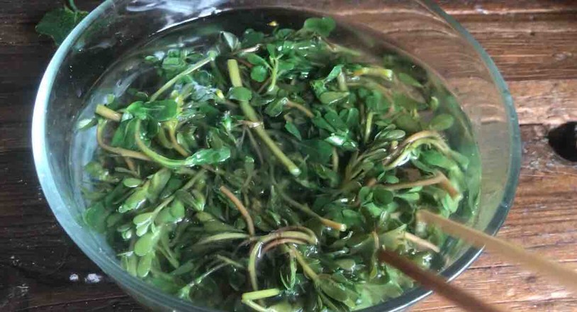 枸杞拌馬齒莧的做法-酸辣味拌菜譜-易網<a href=http://www.jsjjzhkt.cn/ target=_blank class=infotextkey>健康養生</a>網 枸杞拌馬齒莧的做法-酸辣味拌菜譜