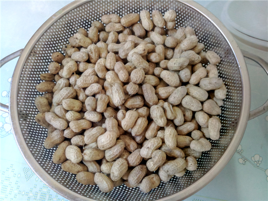 鹽水花生的做法-家常味煮菜譜-易網健康養生網 鹽水花生的做法-家常味煮菜譜