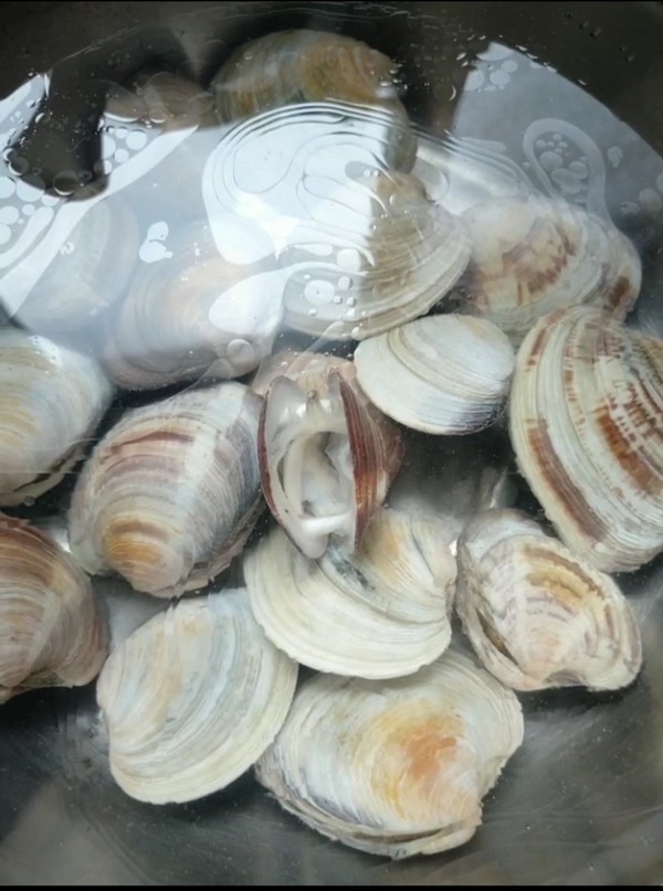 《海貝雞蛋羹》的做法-咸鮮味蒸菜譜-易網<a href=http://www.jsjjzhkt.cn/ target=_blank class=infotextkey>健康養生</a>網 《海貝雞蛋羹》的做法-咸鮮味蒸菜譜