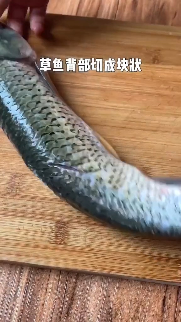 啤酒燉魚的做法-咸鮮味燉菜譜-易網(wǎng)<a href=http://www.jsjjzhkt.cn/ target=_blank class=infotextkey>健康養(yǎng)生</a>網(wǎng) 啤酒燉魚的做法-咸鮮味燉菜譜