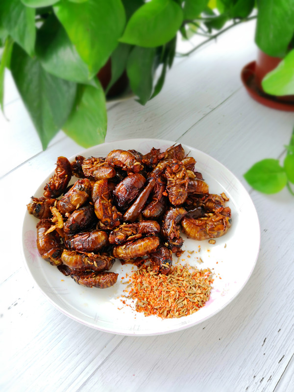 煎金蟬的做法-家常味煎菜譜