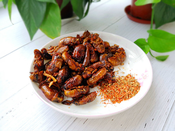 煎金蟬的做法-家常味煎菜譜