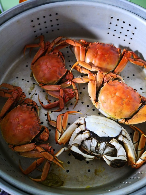 美味河蟹的做法-咸鮮味蒸菜譜-易網(wǎng)健康養(yǎng)生網(wǎng) 美味河蟹的做法-咸鮮味蒸菜譜