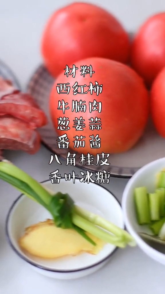 番茄燉牛腩的做法-咸鮮味燉菜譜-易網<a href=http://www.jsjjzhkt.cn/ target=_blank class=infotextkey>健康養生</a>網 番茄燉牛腩的做法-咸鮮味燉菜譜