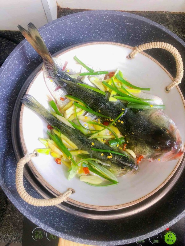 豉油蒸鱸魚的做法-醬香味蒸菜譜-易網健康養生網 豉油蒸鱸魚的做法-醬香味蒸菜譜