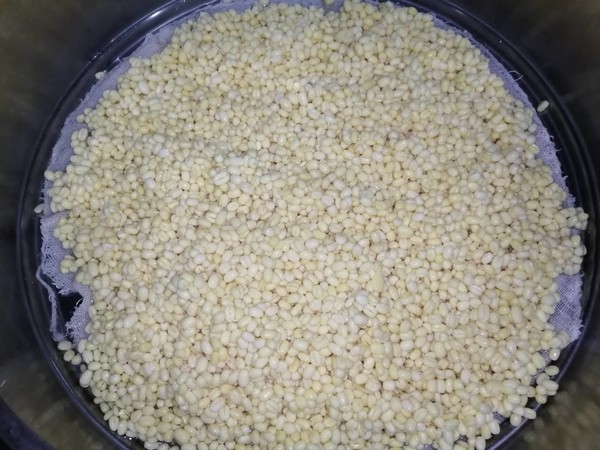 綠豆沙餡的做法-甜味炒菜譜-易網<a href=http://www.jsjjzhkt.cn/ target=_blank class=infotextkey>健康養生</a>網 綠豆沙餡的做法-甜味炒菜譜