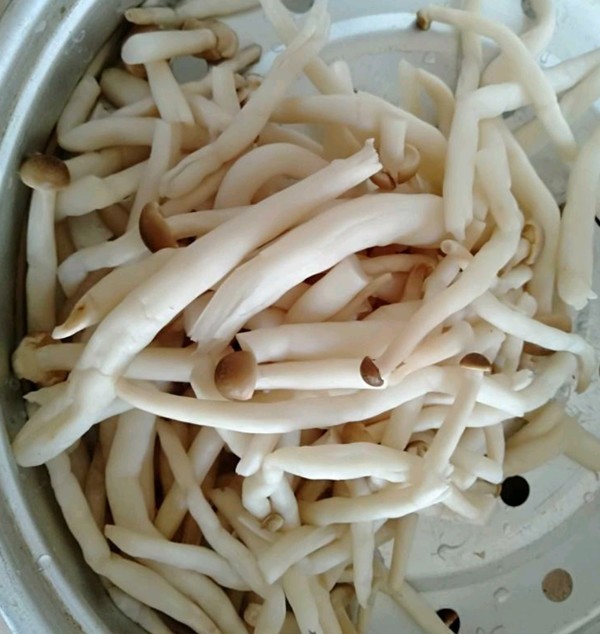 滑菇炒肉的做法-家常味炒菜譜-易網<a href=http://www.jsjjzhkt.cn/ target=_blank class=infotextkey>健康養生</a>網 滑菇炒肉的做法-家常味炒菜譜