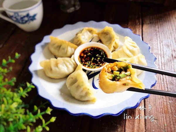 雞肉韭菜餃子的做法-咸鮮味煎菜譜