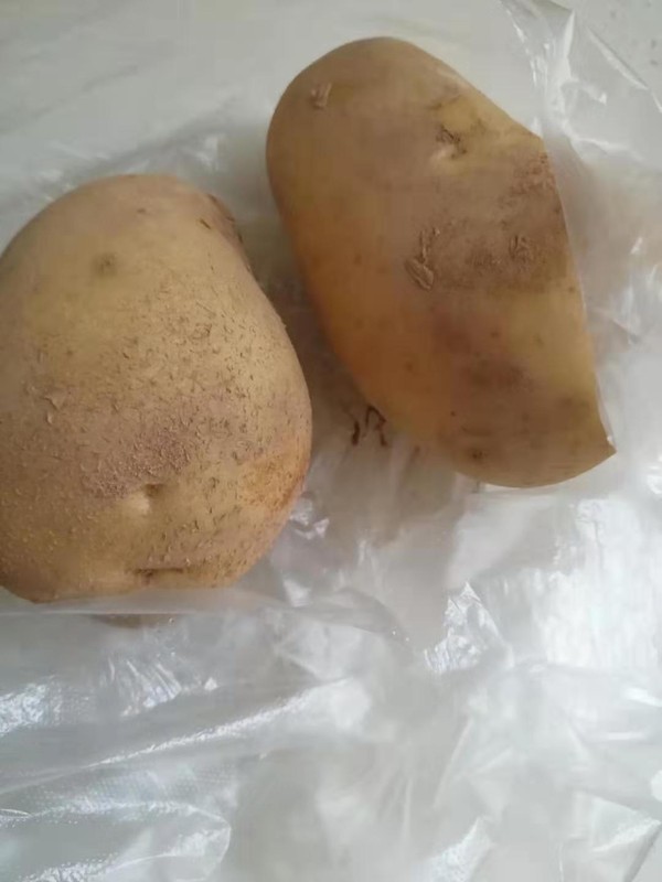 湖北武穴特色-自制Q彈土豆丸子的做法-家常味煮菜譜-易網(wǎng)<a href=http://www.jsjjzhkt.cn/ target=_blank class=infotextkey>健康養(yǎng)生</a>網(wǎng) 湖北武穴特色-自制Q彈土豆丸子的做法-家常味煮菜譜