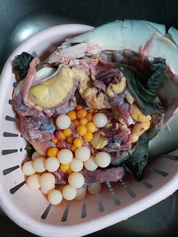 紅燒野生大王八的做法-咸鮮味燒菜譜-易網健康養生網 紅燒野生大王八的做法-咸鮮味燒菜譜