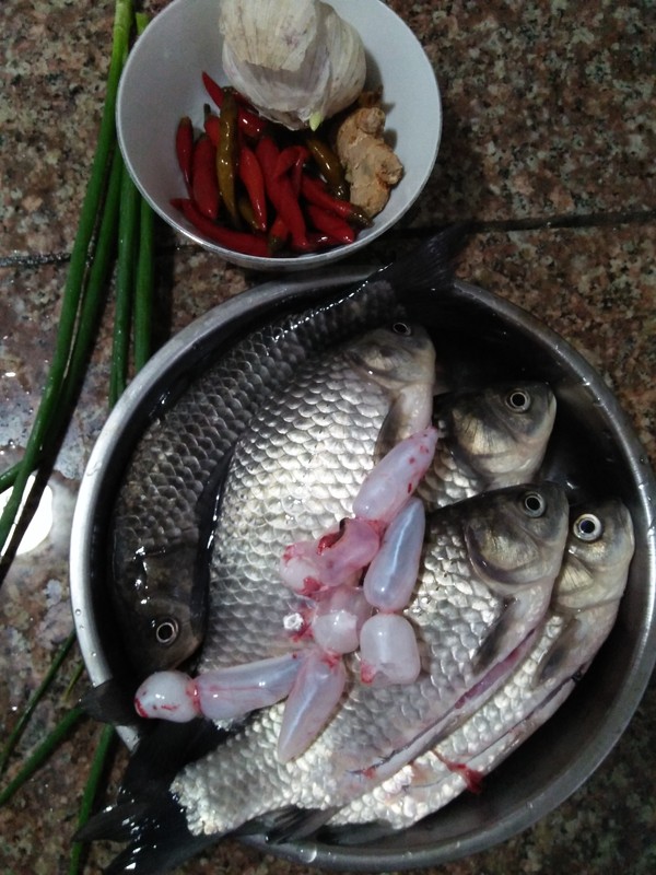 蔥燒鯽魚的做法-香辣味燒菜譜-易網<a href=http://www.jsjjzhkt.cn/ target=_blank class=infotextkey>健康養生</a>網 蔥燒鯽魚的做法-香辣味燒菜譜