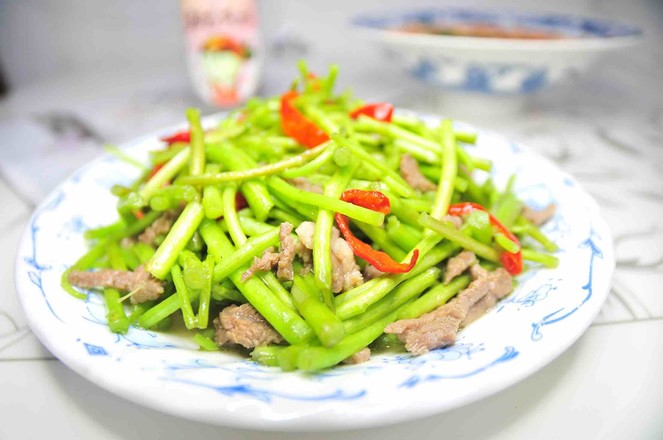 蘆蒿炒肉絲的做法-家常味炒菜譜-易網健康養生網 蘆蒿炒肉絲的做法-家常味炒菜譜