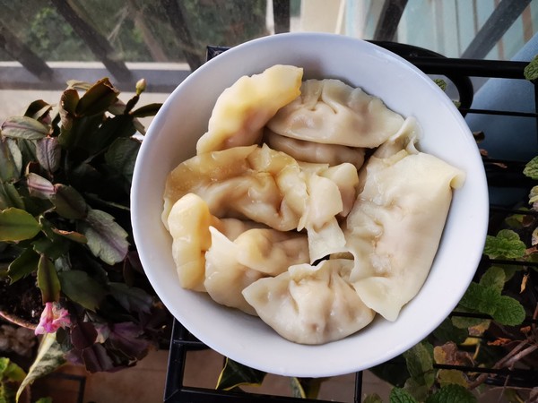 牛肉胡蘿卜餃子的做法-咸鮮味煮菜譜-易網(wǎng)健康養(yǎng)生網(wǎng) 牛肉胡蘿卜餃子的做法-咸鮮味煮菜譜