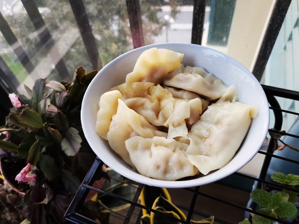 牛肉胡蘿卜餃子的做法-咸鮮味煮菜譜-易網(wǎng)健康養(yǎng)生網(wǎng) 牛肉胡蘿卜餃子的做法-咸鮮味煮菜譜