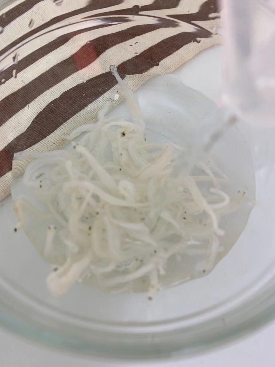 寶寶輔食 銀魚秋葵煎蛋的做法-家常味煎菜譜-易網健康養生網 寶寶輔食 銀魚秋葵煎蛋的做法-家常味煎菜譜