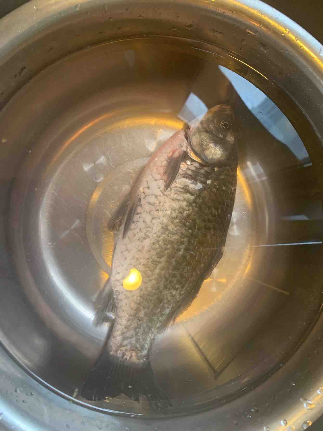 奶白鯽魚豆腐湯的做法-咸鮮味煮菜譜-易網<a href=http://www.jsjjzhkt.cn/ target=_blank class=infotextkey>健康養生</a>網 奶白鯽魚豆腐湯的做法-咸鮮味煮菜譜