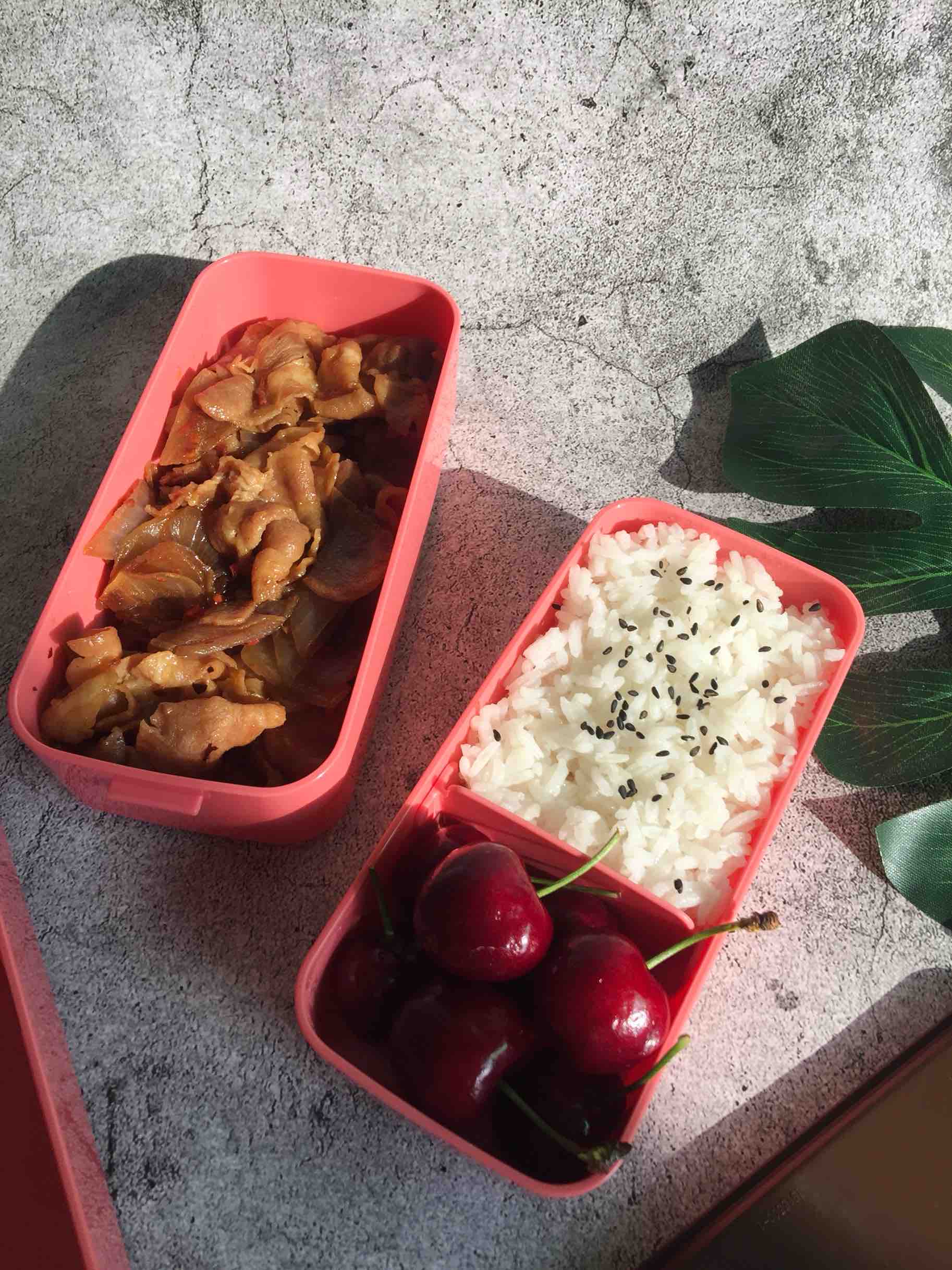 洋蔥肥牛便當的做法-家常味煮菜譜-易網健康養生網 洋蔥肥牛便當的做法-家常味煮菜譜