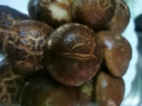 變裝簡版佛跳墻的做法-家常味燜菜譜-易網(wǎng)健康養(yǎng)生網(wǎng) 變裝簡版佛跳墻的做法-家常味燜菜譜