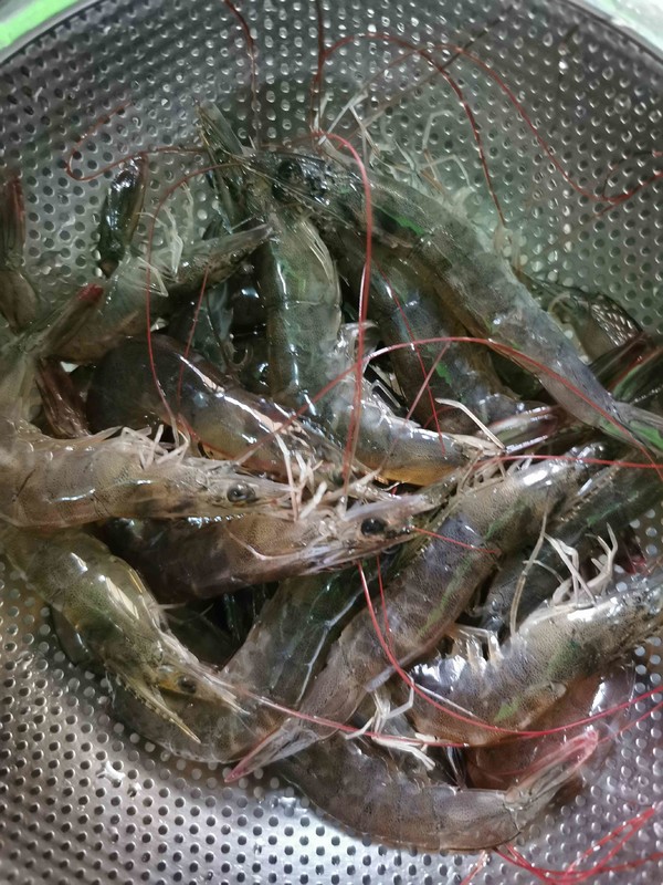 變裝簡版佛跳墻的做法-家常味燜菜譜-易網(wǎng)健康養(yǎng)生網(wǎng) 變裝簡版佛跳墻的做法-家常味燜菜譜