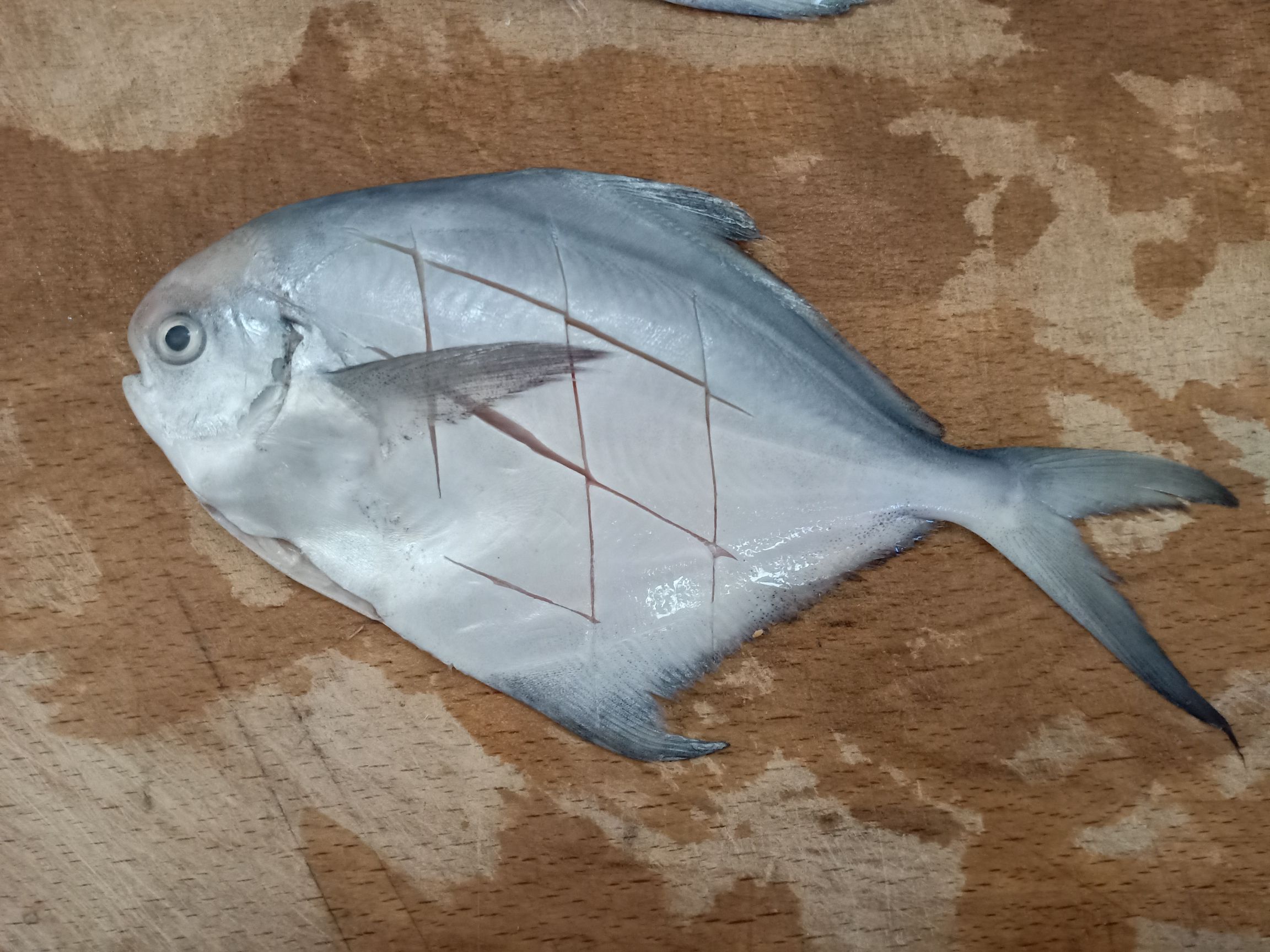 香煎鯧魚的做法-咸鮮味煎菜譜-易網健康養生網 香煎鯧魚的做法-咸鮮味煎菜譜