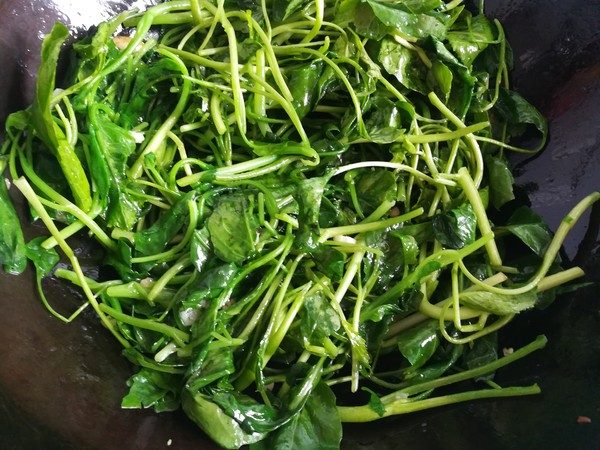 清炒芥藍的做法-家常味炒菜譜-易網健康養生網 清炒芥藍的做法-家常味炒菜譜