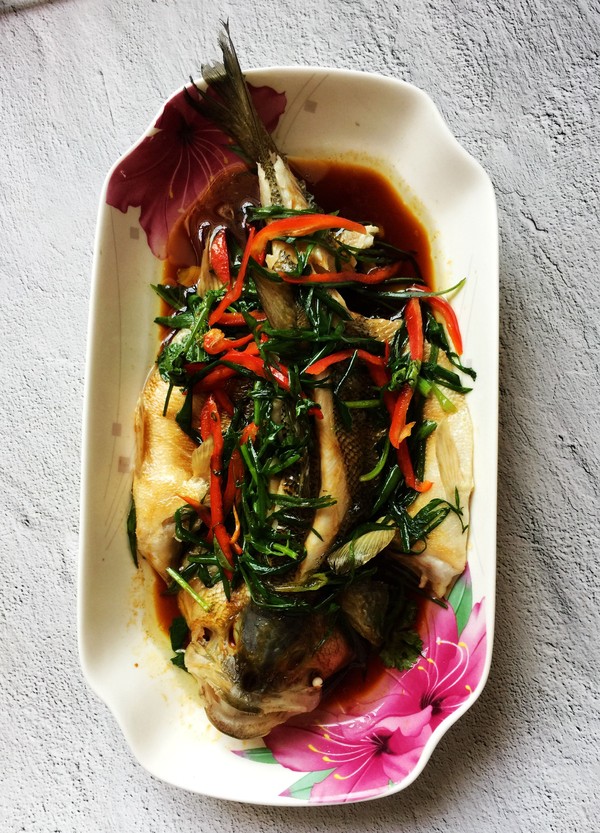 蔥香鱸魚的做法-家常味蒸菜譜-易網健康養生網 蔥香鱸魚的做法-家常味蒸菜譜