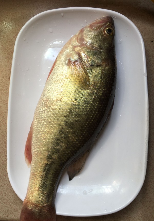 蔥香鱸魚的做法-家常味蒸菜譜-易網<a href=http://www.jsjjzhkt.cn/ target=_blank class=infotextkey>健康養生</a>網 蔥香鱸魚的做法-家常味蒸菜譜