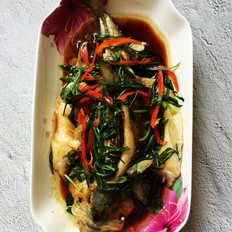 蔥香鱸魚的做法-家常味蒸菜譜