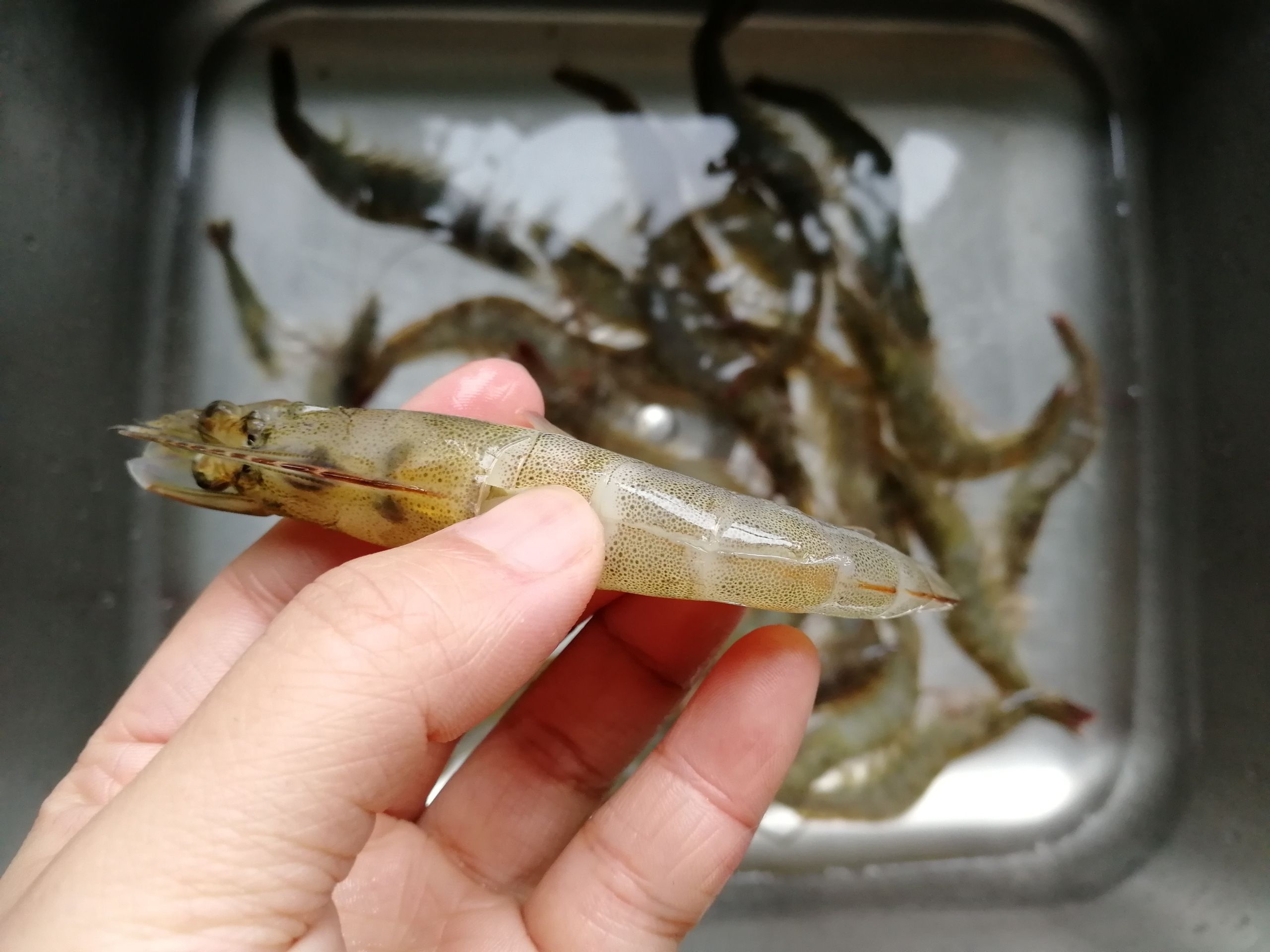 椒鹽油爆蝦的做法-咸鮮味炸菜譜