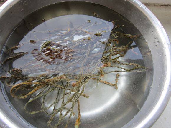 薩斯肯的做法-家常味燉菜譜-易網(wǎng)健康養(yǎng)生網(wǎng) 薩斯肯的做法-家常味燉菜譜